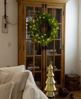 24" Pre-Lit Artificial Touch Norfolk Island Pine Wreath LED Lights and Natural Look