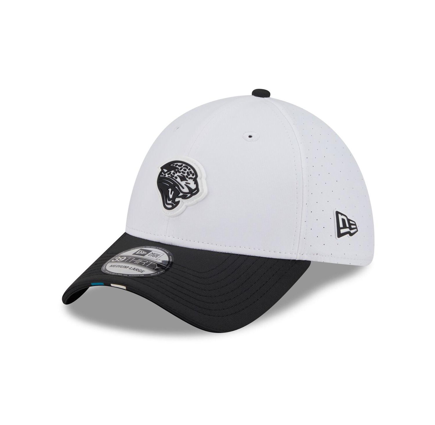 Men's White/Black Jacksonville Jaguars 2025 NFL Training Camp Throwback Logo 39THIRTY Flex Hat
