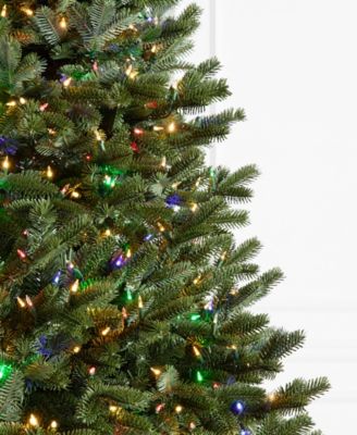 6.5 ft Pre-Lit Fraser Fir Narrow Tree
