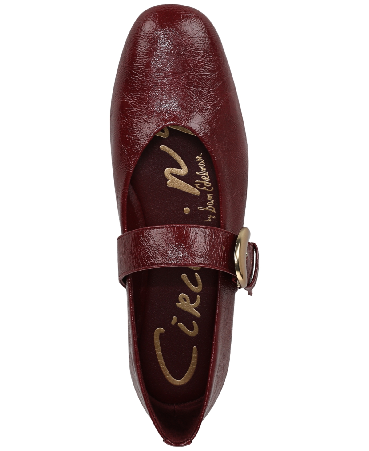 Circus Ny By Sam Edelman Bella Mary Jane Flat In Burgundy