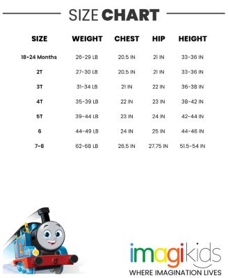 Boys Thomas the Train Fleece Pullover Hoodie and Pants Outfit Set