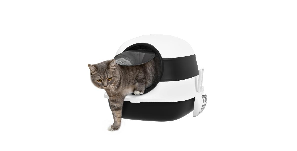 Cat Litter Box with Lid, Large Two-Way Entrance Kitty Litter Box, Foldable, White and Black