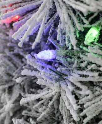 24" Pre-Lit Snow Flocked Pine Christmas Wreath