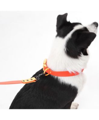 Luna 8FT Adjustable 6-in-1 Waterproof Hands-Free Leash and Collar with LED Flashlight, Bag Dispenser, and Poop Bag Holder