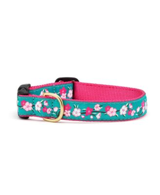 Up Country Cherry Blossoms Dog Collar