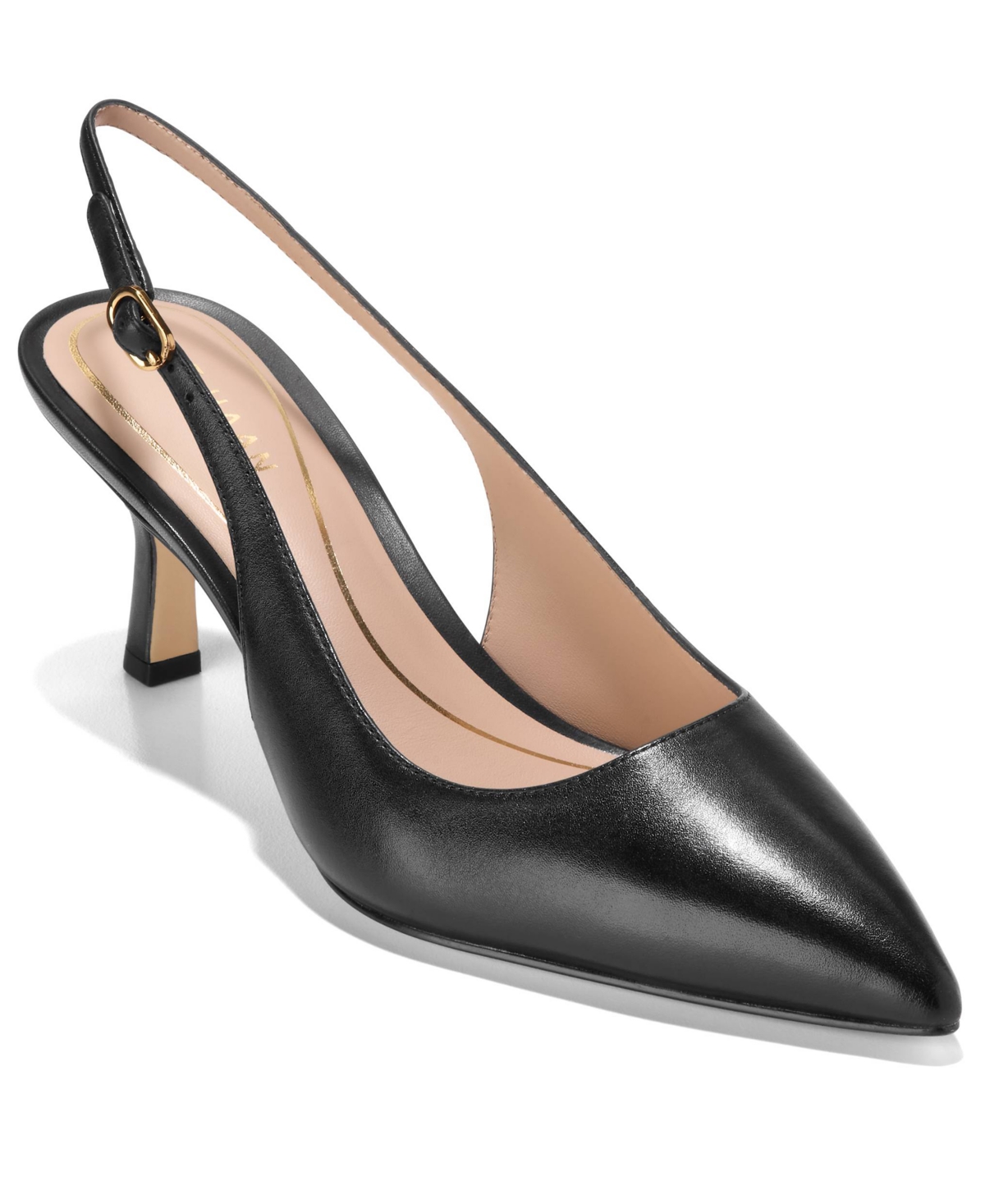 Cole Haan Hansell Slingback Pointed Toe Pump In Black