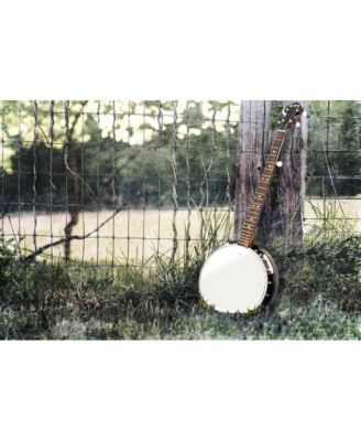 5-String Banjo with White Jade Tune Pegs & Rosewood Fretboard
