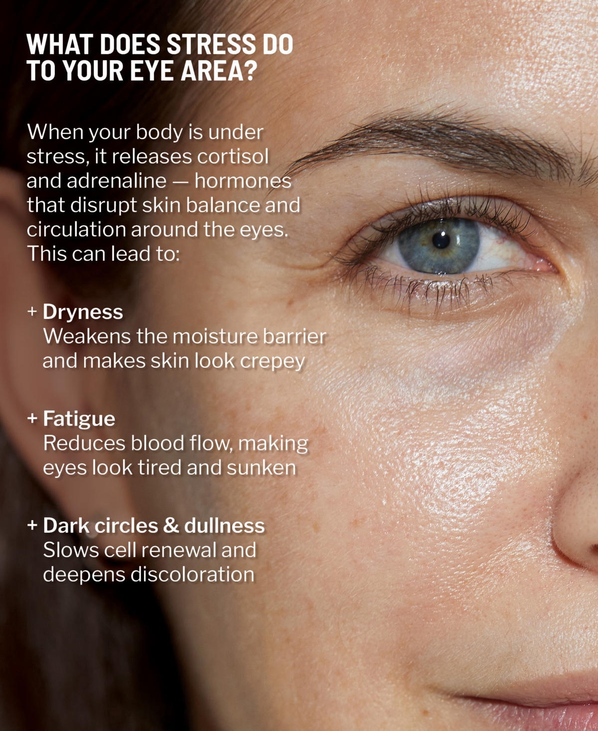 Dr. Brandt 2-pc. Under-eye Rescue Set In Transparent