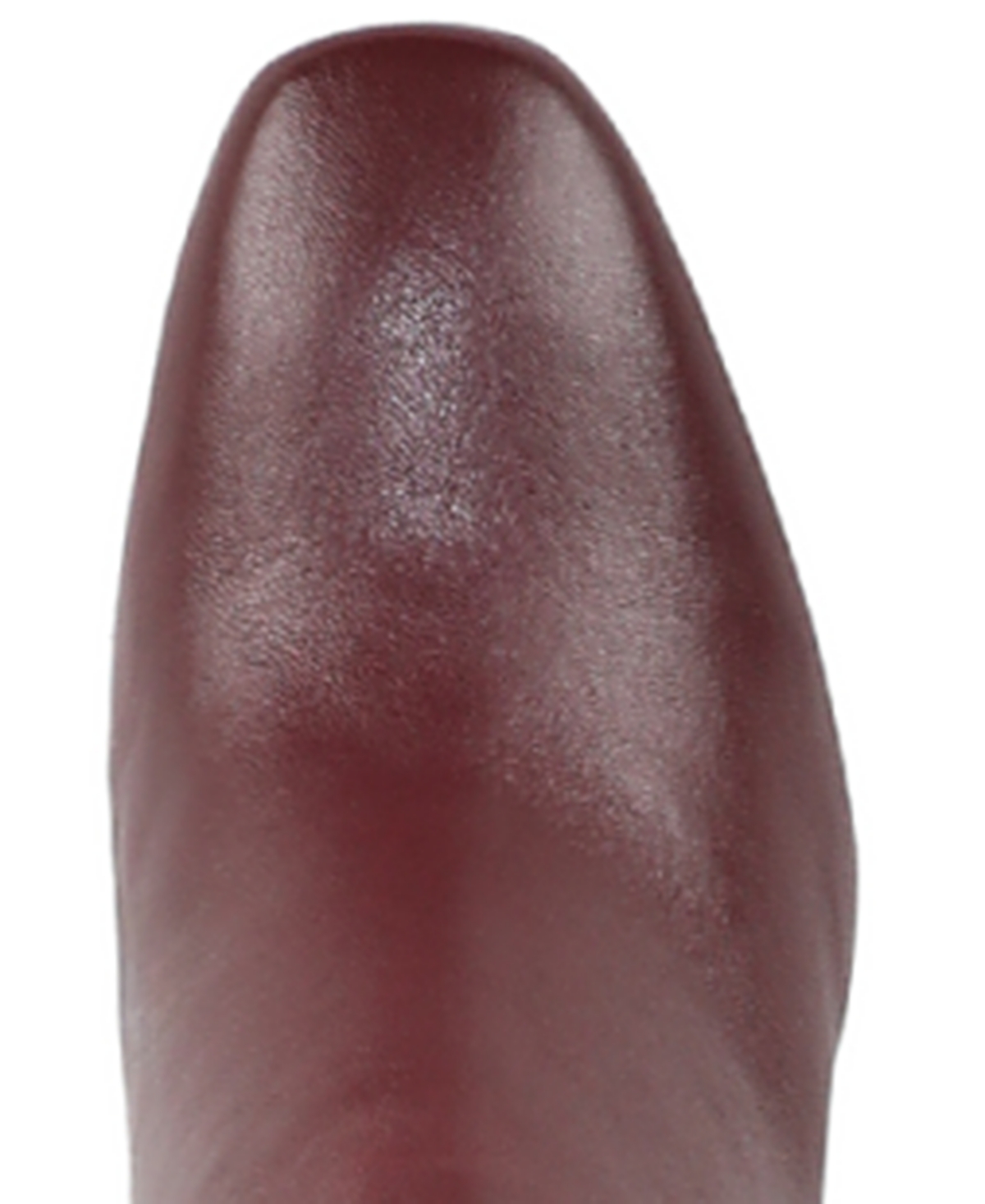Circus Ny By Sam Edelman Brigid Over The Knee Boot In Burgundy