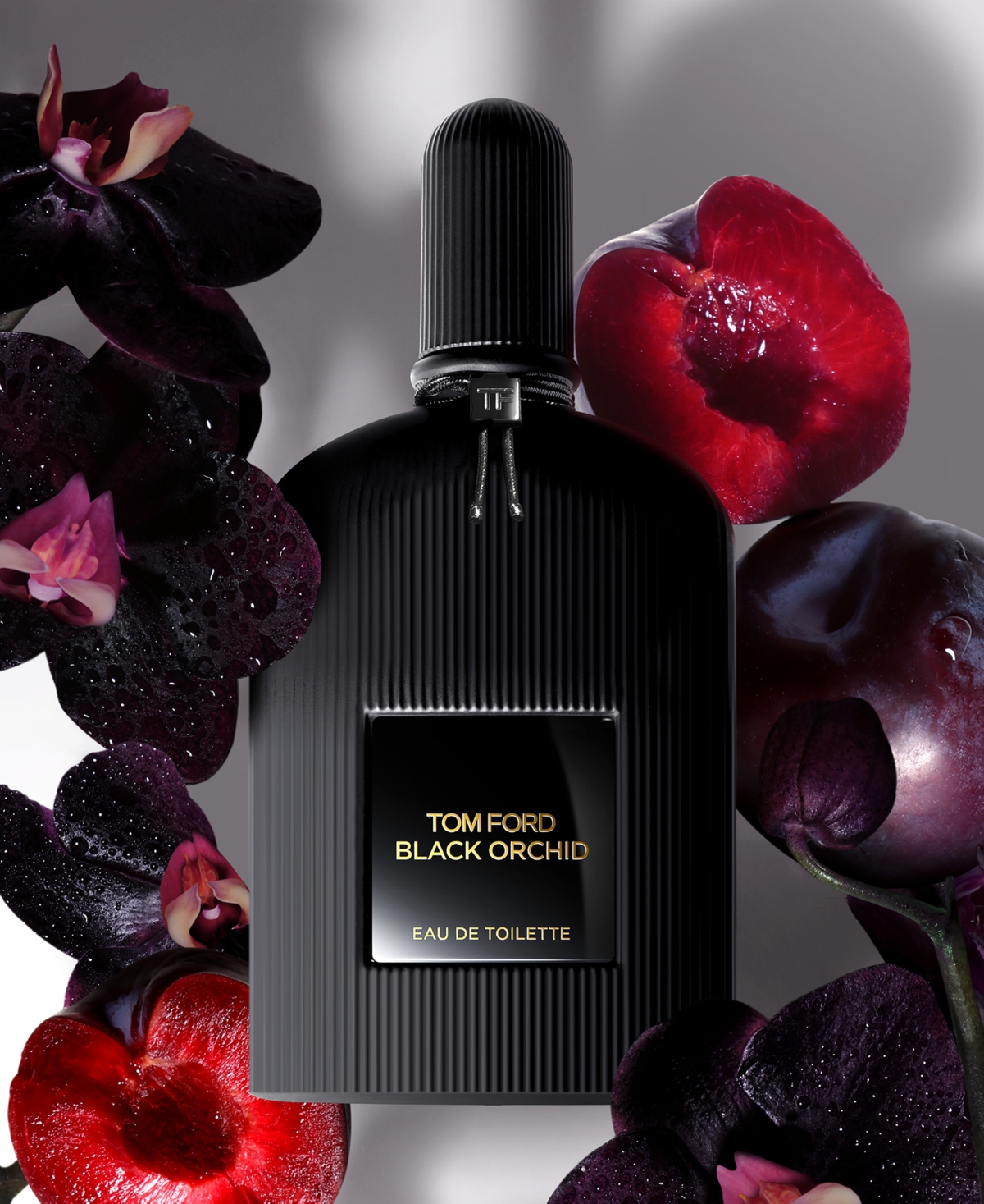 Tom Ford 4-pc. Black Orchid Fragrance Discovery Set In Transparent