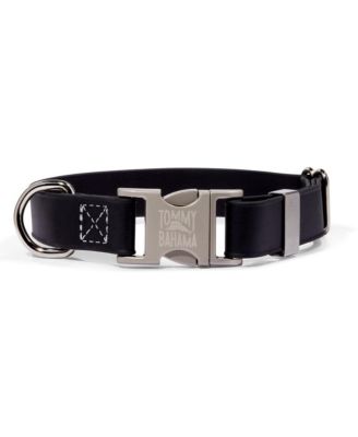 Tommy Bahama Pet - Collar - Black, Small