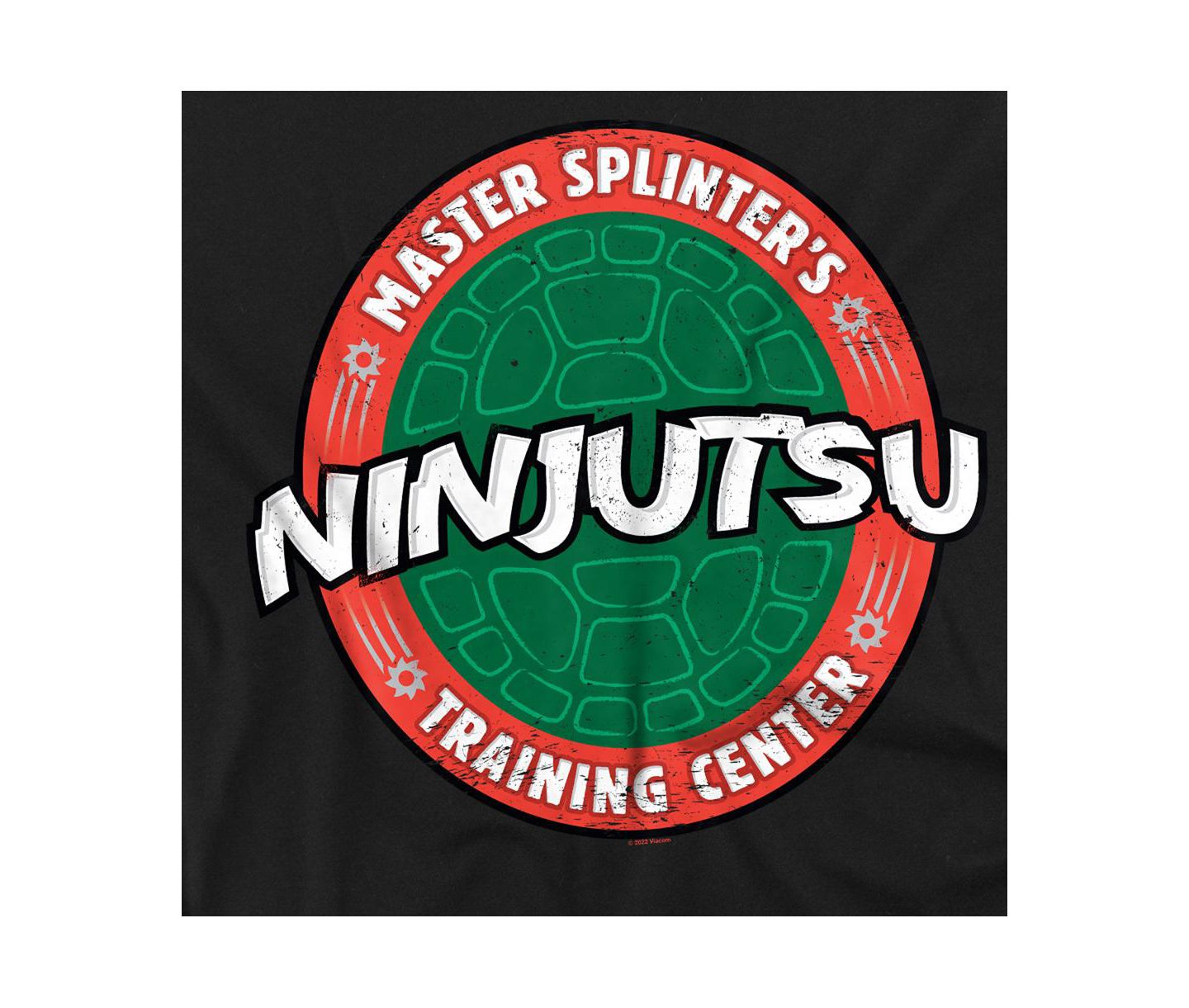 Мужская футболка Logovision Teenage Mutant Ninja Turtles Ninjutsu School, цвет: Чёрный — фото 2