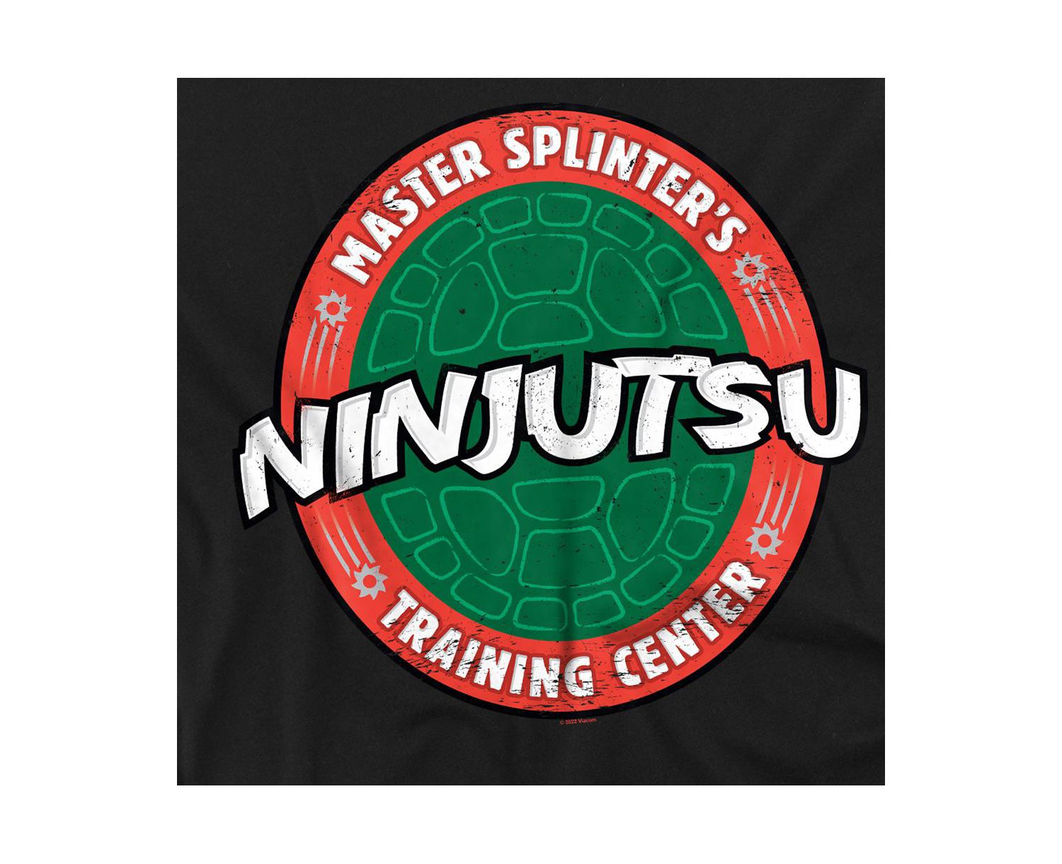 Men's Teenage Mutant Ninja Turtles Ninjutsu School T-Shirt