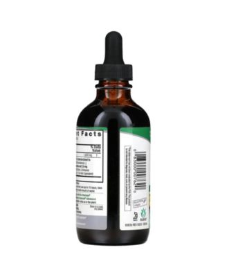 Echinacea & Goldenseal  Alcohol-Free  -  4 fl oz (120 ml)