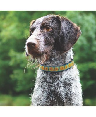 Up Country Bright Sunflower Dog Lead