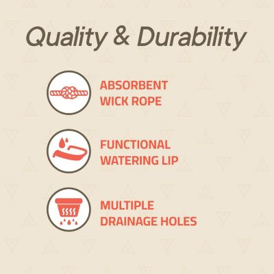 Black Self Watering Pots 20 Pack, Indoor and Outdoor Plant Pots with Wick Rope & Drainage Holes, Easy Watering Lip, Lightweight Plastic Self Watering Planter for Succulents, Houseplants, and Herbs