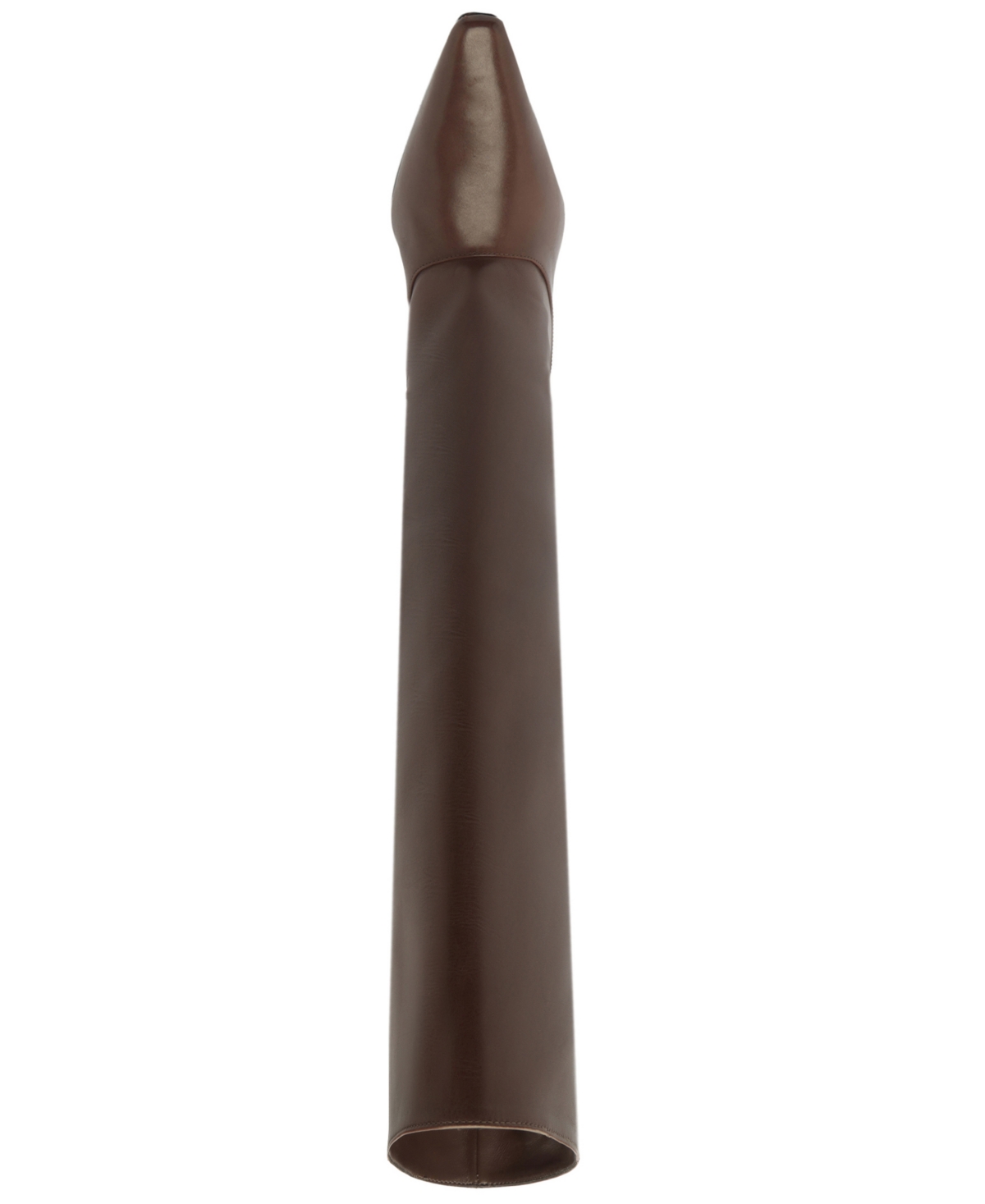 Schutz Rudy Pointed Toe Boot In Brown