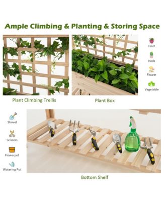 Raised Garden Bed Mobile Elevated Wooden Planter Box w/ Wheels Trellis Shelf 41.5'' x 16'' x 54'' (L x W x H)