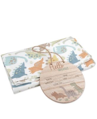 Baby Boys' Dinosaur Layette, 4-Piece Set