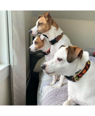 Up Country Harvest Time Dog Lead