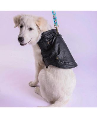 Starter Kit with Genuine Leather Jacket