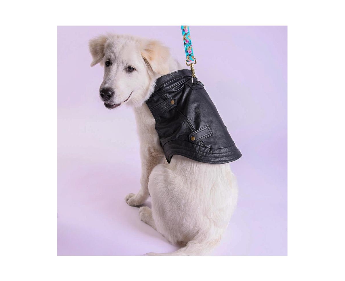 K9 Wear Starter Kit with Genuine Leather Jacket