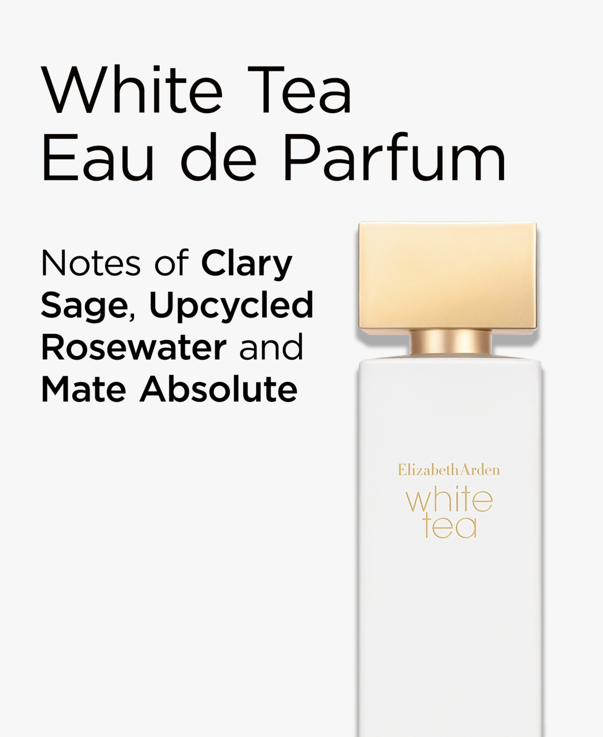 Elizabeth Arden 2-pc. White Tea Eau De Parfum Gift Set In Transparent