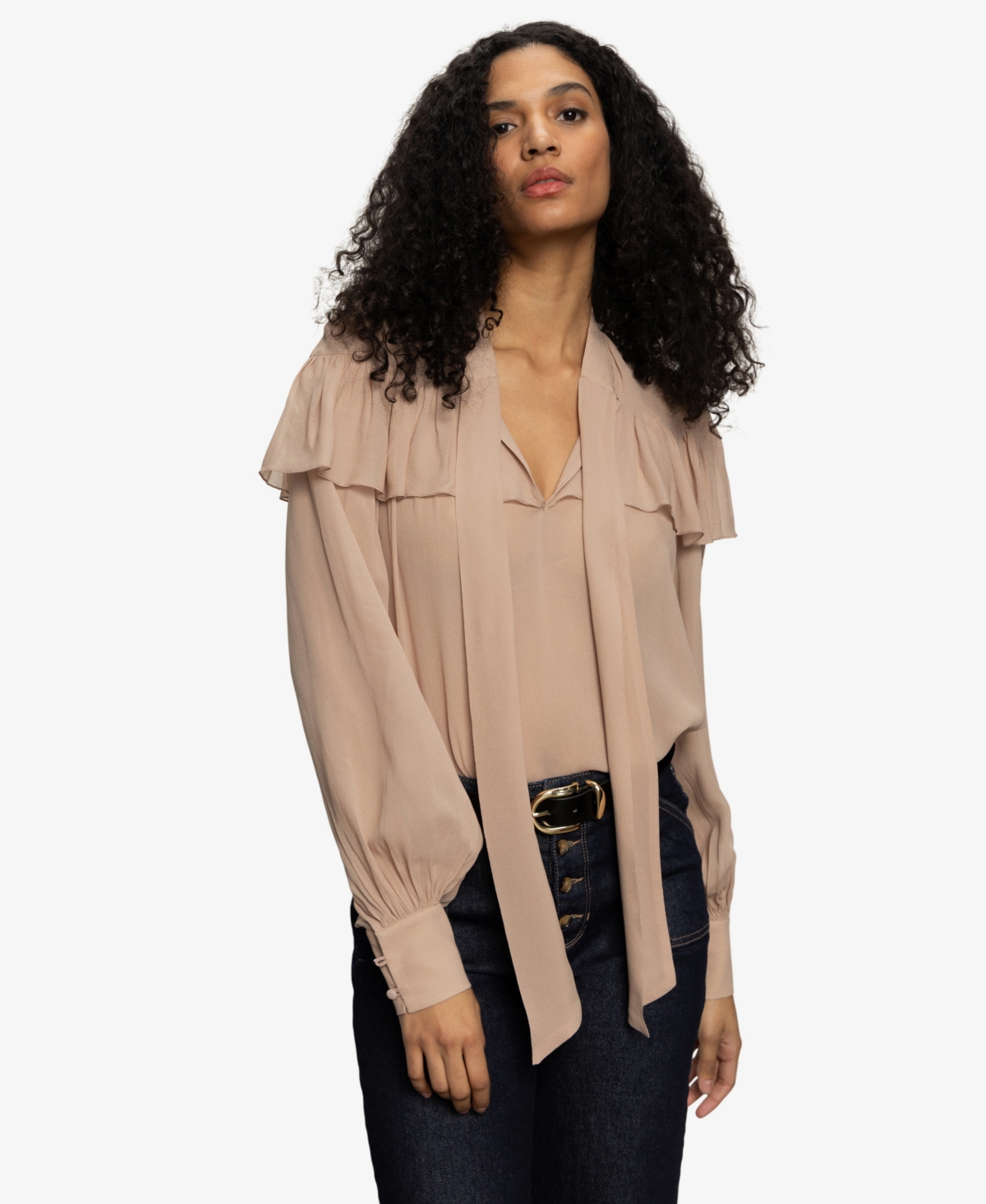 Sanctuary Fade Into You Ruffle Georgette Top In Brown