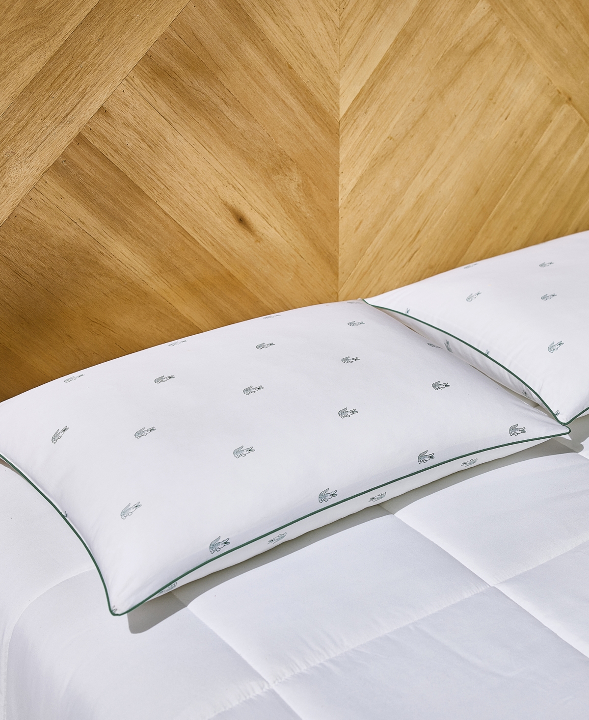 Lacoste Home Allover Crocs Cotton Firm Density Pillow, King In White