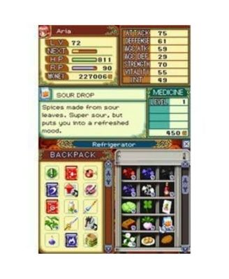 Rune Factory 2: A Fantasy Harvest Moon - Nintendo DS