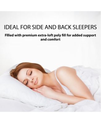 2-Pack Pillow, Standard 