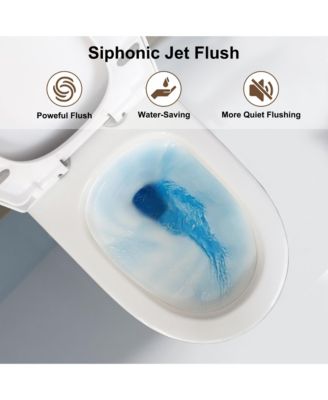 Dual Flush 1.1/1.6 GPF Elongated One-Piece One-Piece Bathroom Fixture, Comfort Height, Water-Saving Design, MAP 1000g