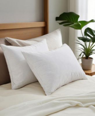 Goose Feather 2-Pack Pillows, King
