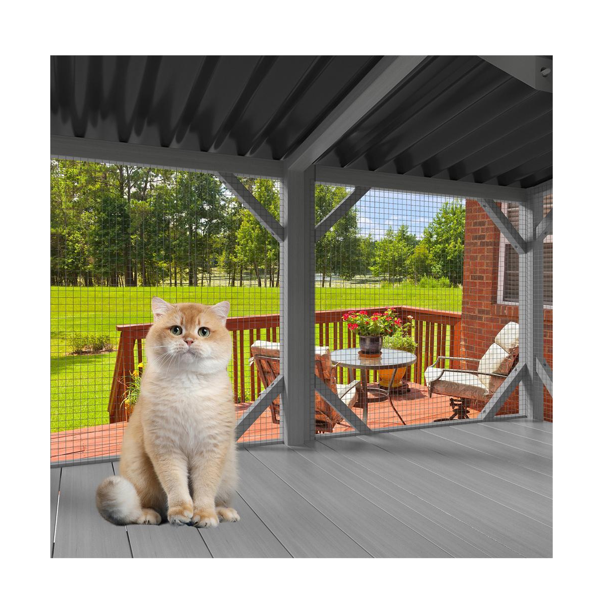 Zeus & Ruta Wooden Cat Window Perch for Large Indoor Cats