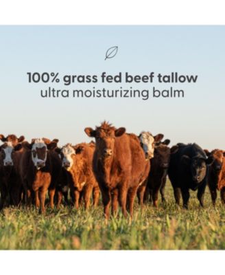 Beef Tallow Balm, Unscented, 2oz