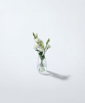 Herald Bud 6.06" Vase, Macy's Exclusive