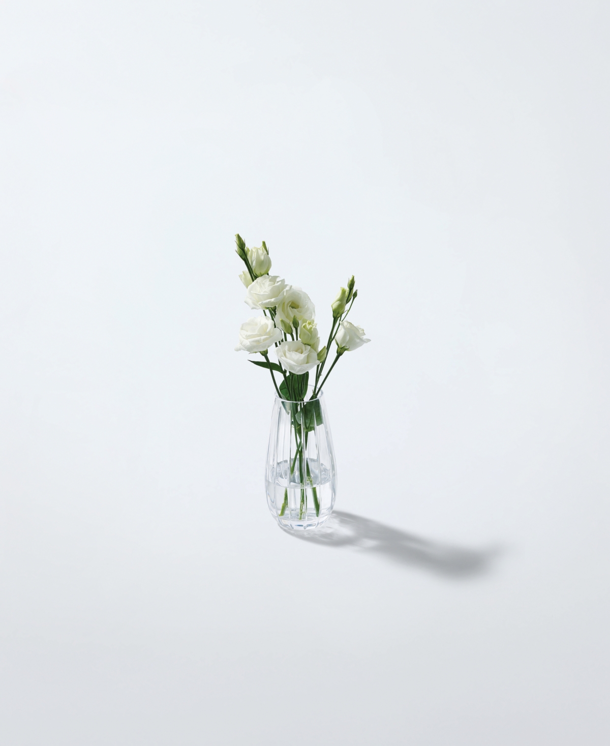 Marquis By Waterford Herald Bud Vase, 6.06" In Transparent