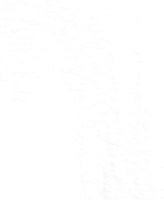 Women's Slub Flutter Sleeve V-Neck T-Shirt