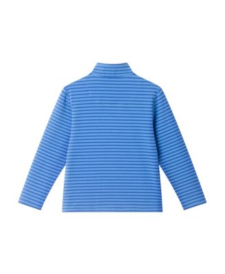 Toddler Boys Toddler/Child Blue Striped Quarter Zip Pullover