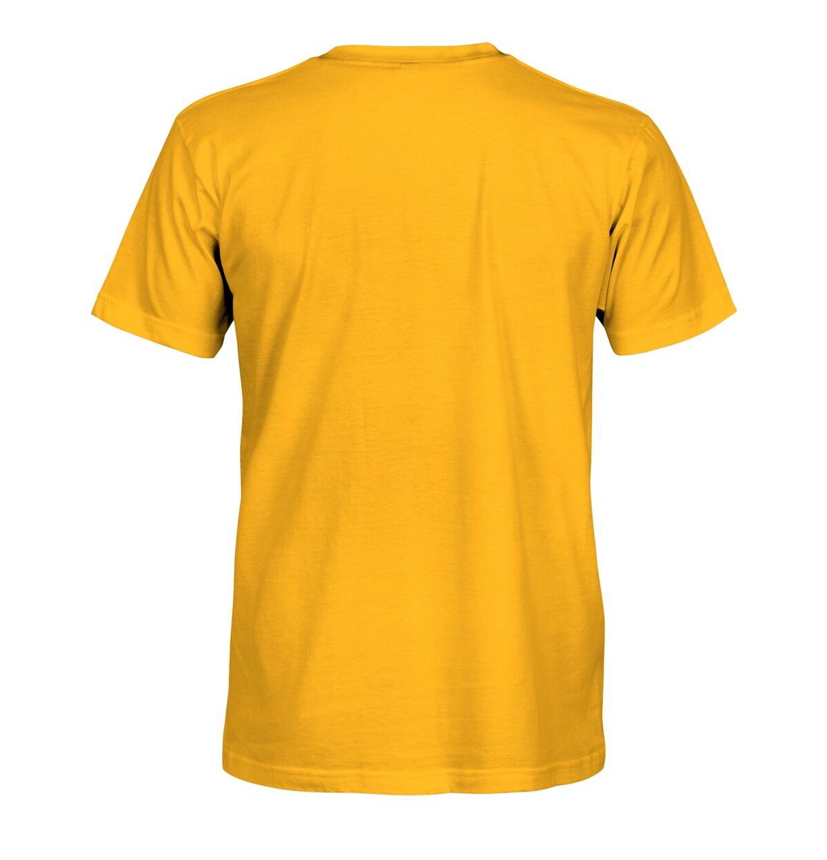 1863FC Men's Gold Brighton and Hove Albion Wordmark T-Shirt