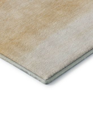 Pacifica Washable PA8 5'x7'6" Area Rug