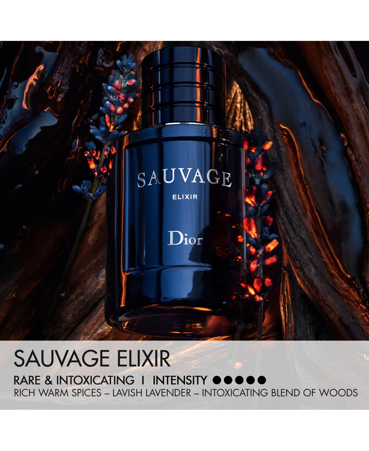 Dior Men's Sauvage Elixir Spray, 5 Oz. In Transparent