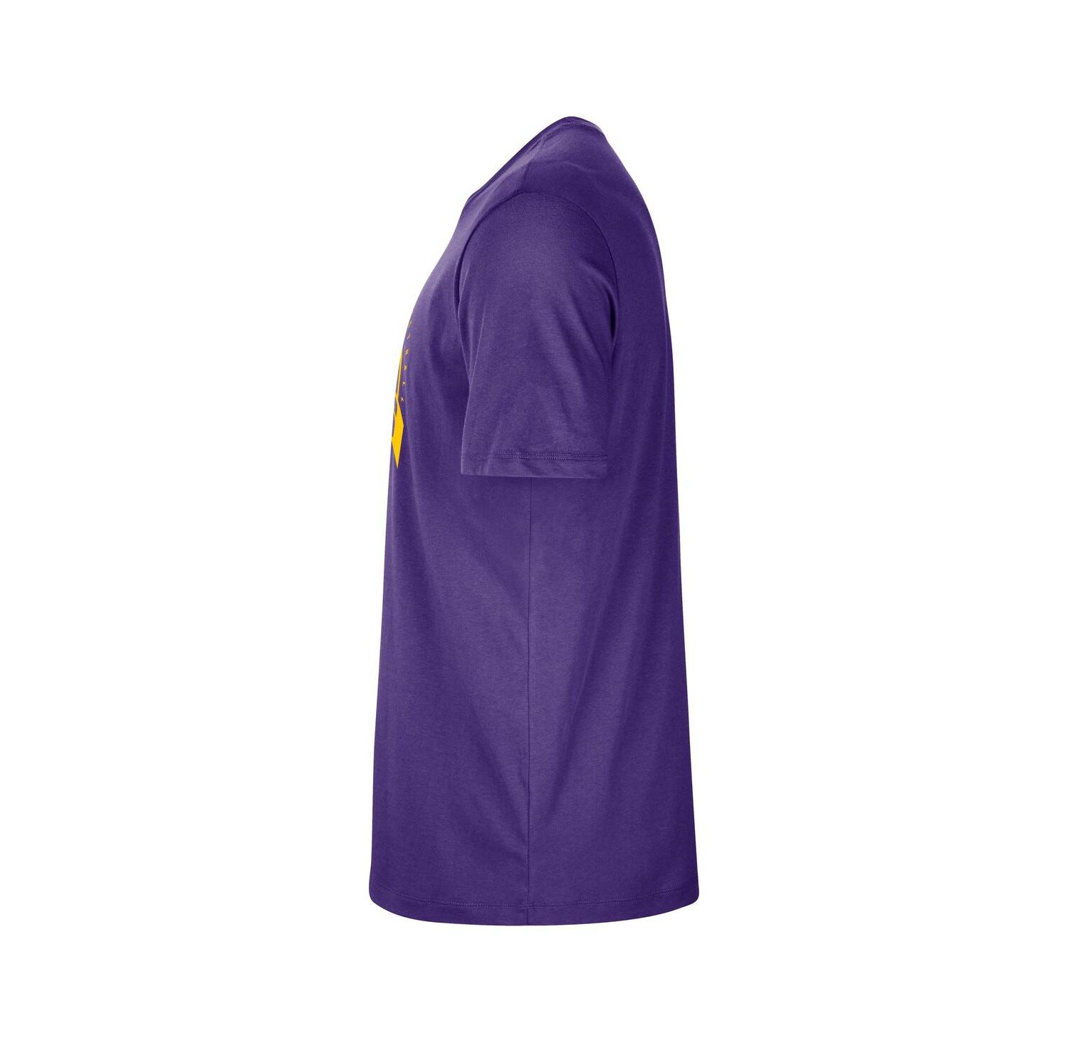 Men's Purple Los Angeles Lakers Authentic Practice T-Shirt