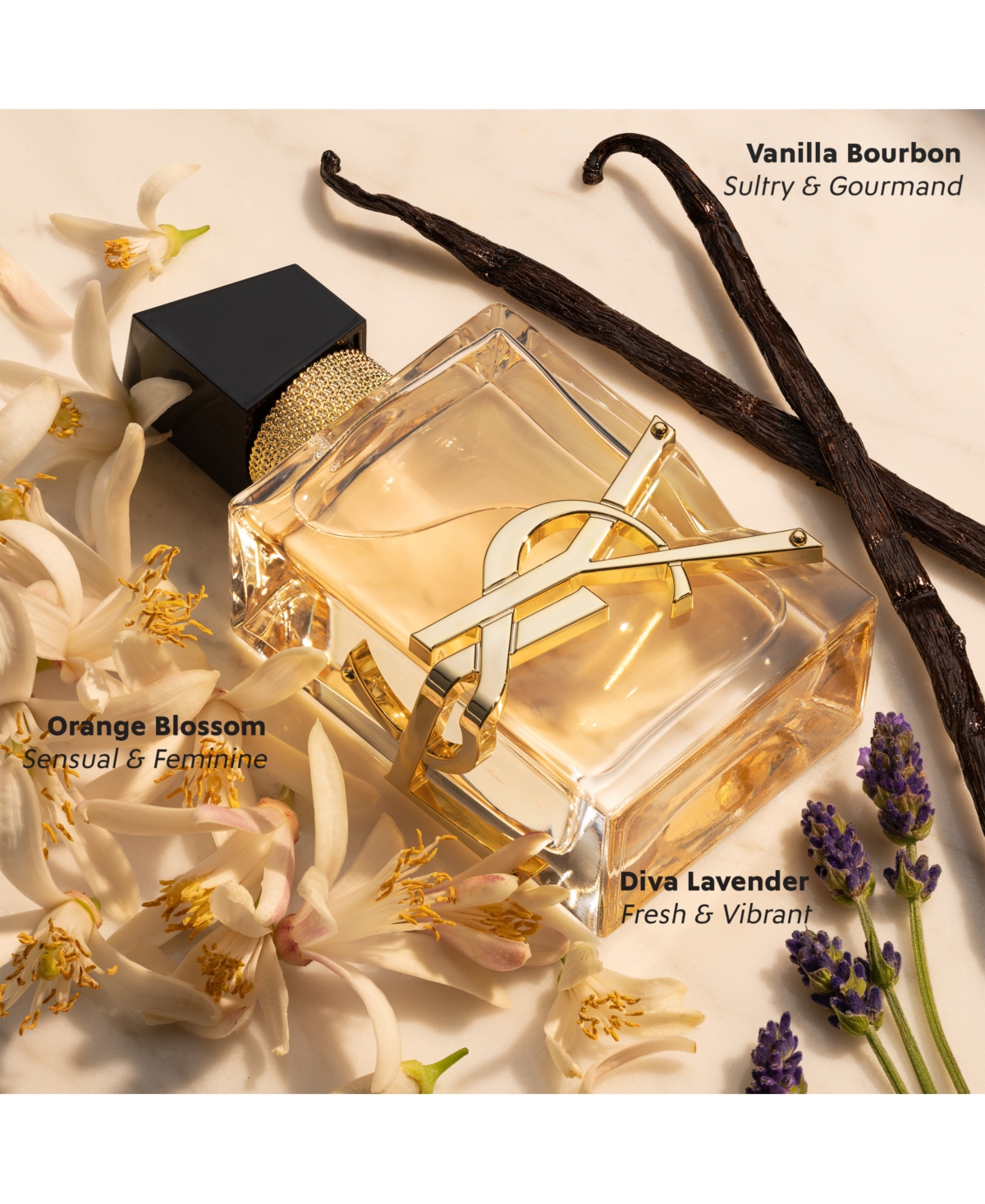 Saint Laurent Libre Eau De Parfum With Body Lotion Set In Transparent