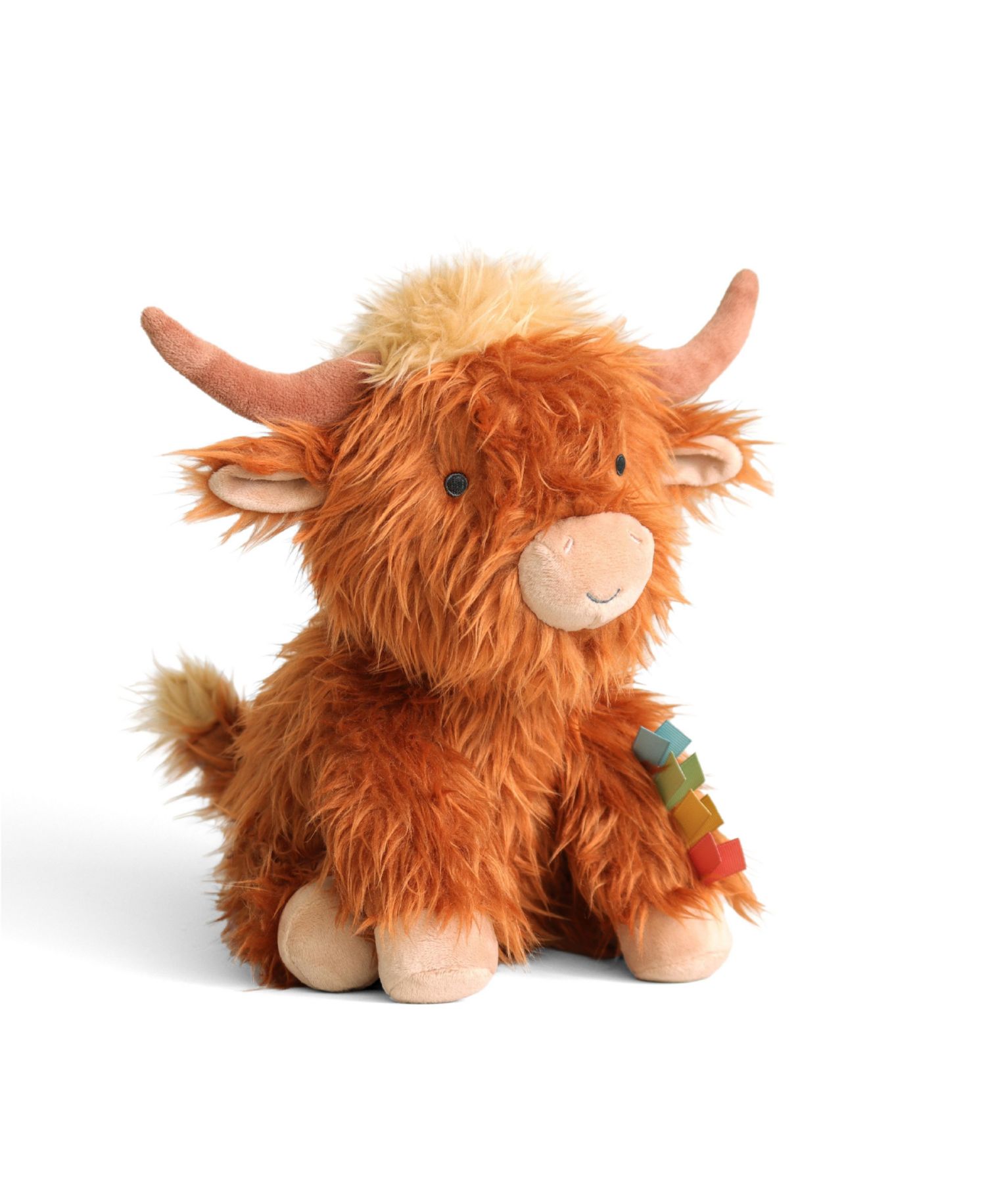 Baby Sweetie Snuggles Highland Cow