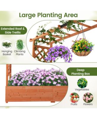 2PCS Raised Garden Bed Planter Box w/ Side & Top Trellis for Vine Climbing Plants