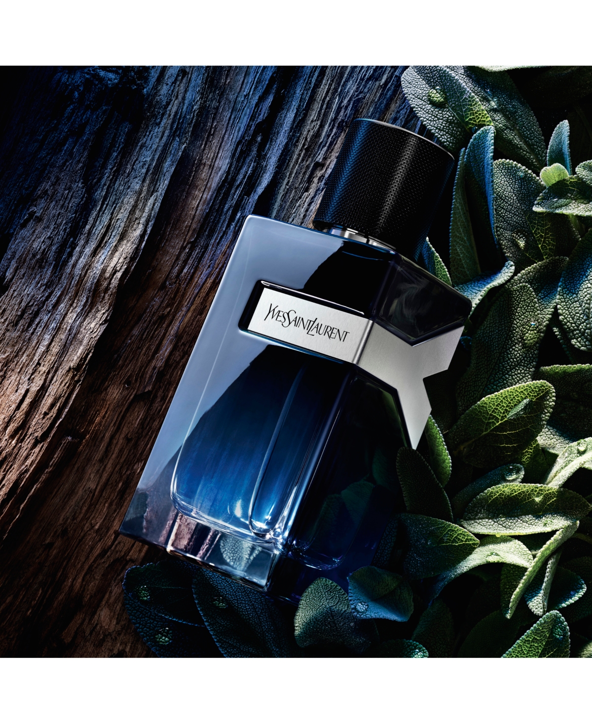 Saint Laurent Men's 2-pc. Eau De Parfum Set In Transparent