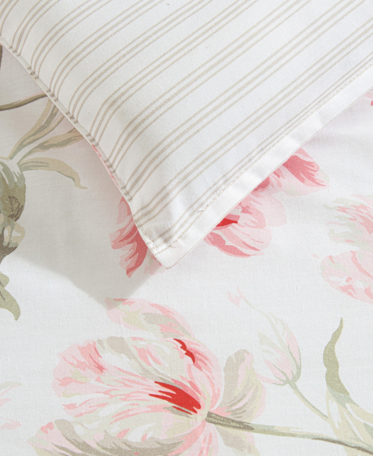 Laura Ashley Gosford Cotton 5-pc. Comforter Bonus Set, Twin In Pink