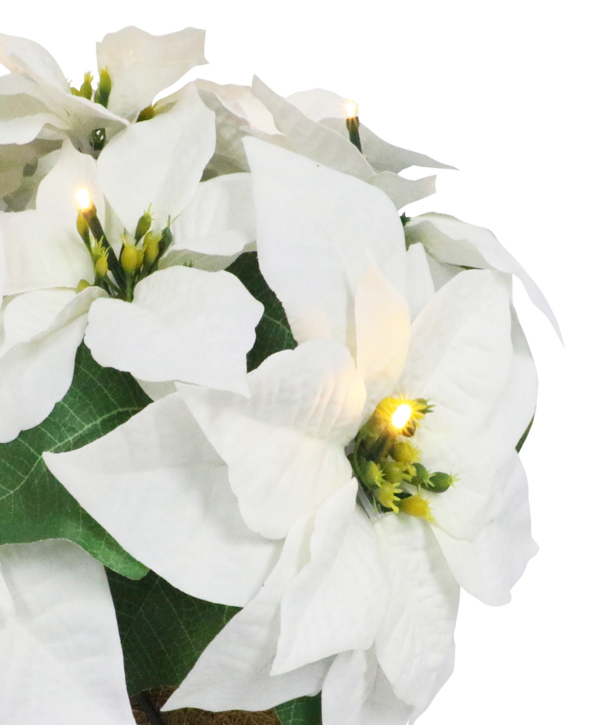 Puleo 19" Pre-Lit Artificial Potted White Poinsettias