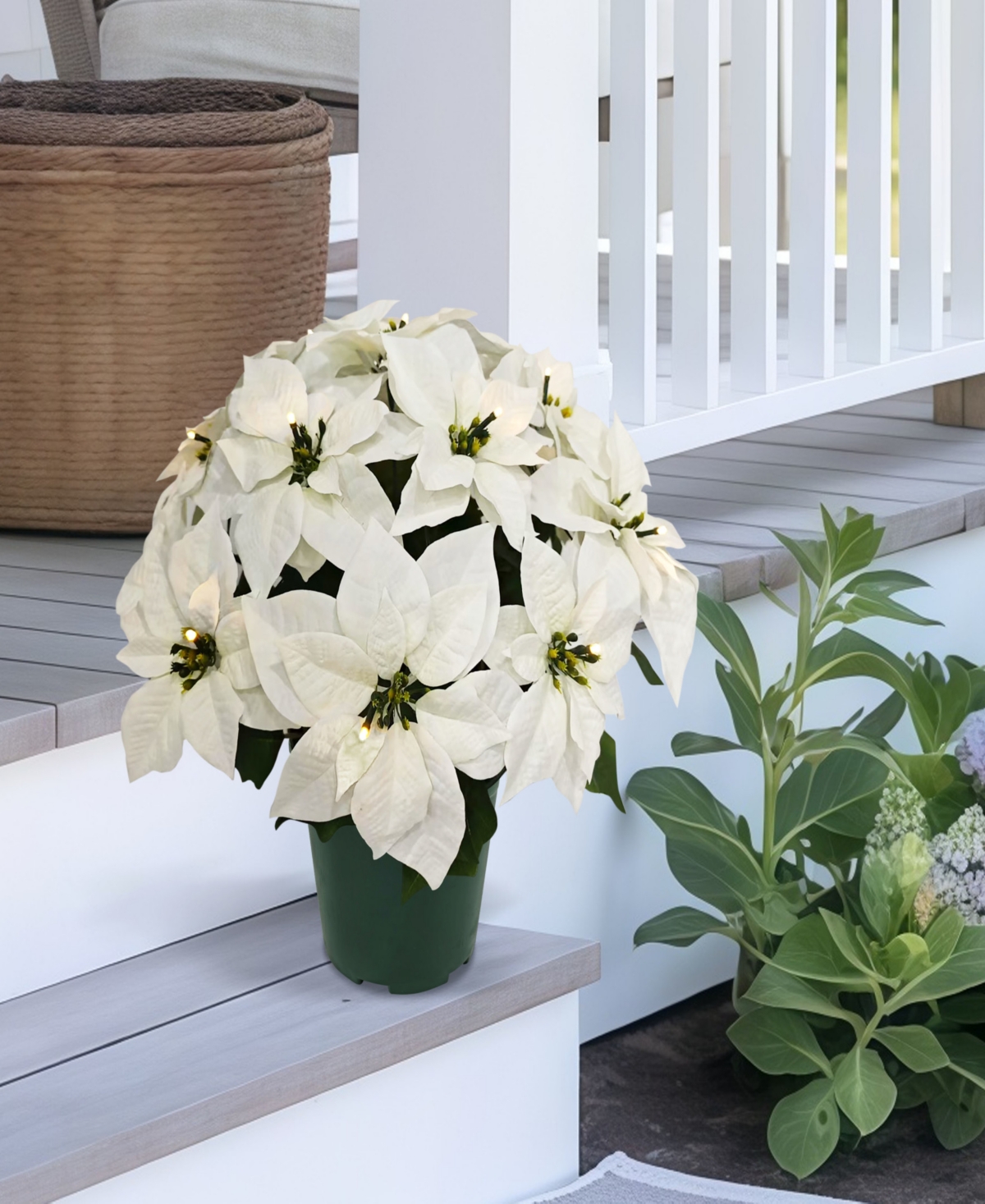 Puleo 22" Pre-Lit Artificial Potted White Poinsettias